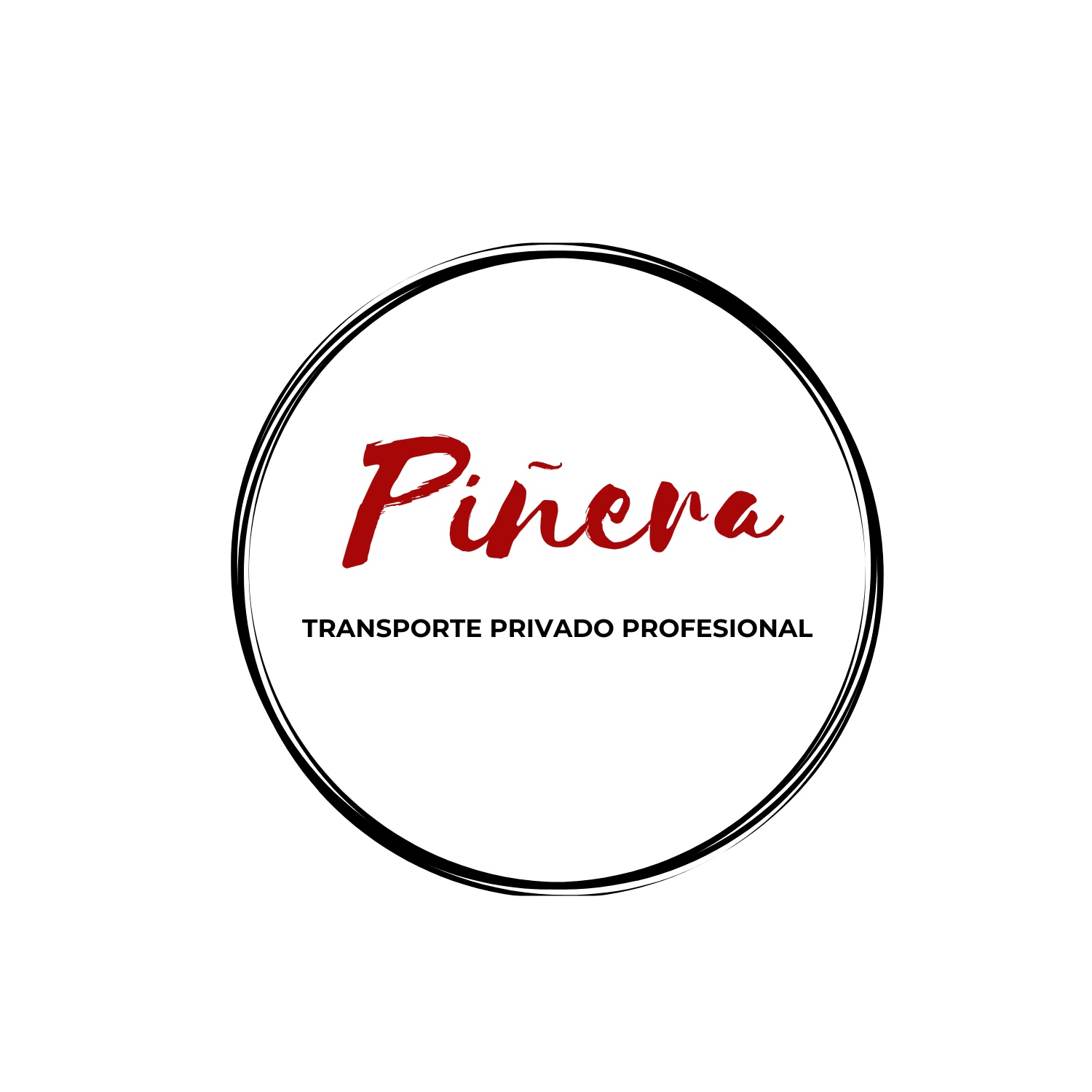 Piñera Transporte privado profesional